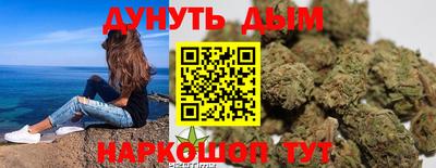 гидра Рязань