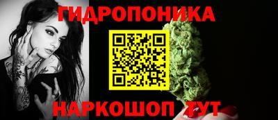 крисы Рузаевка