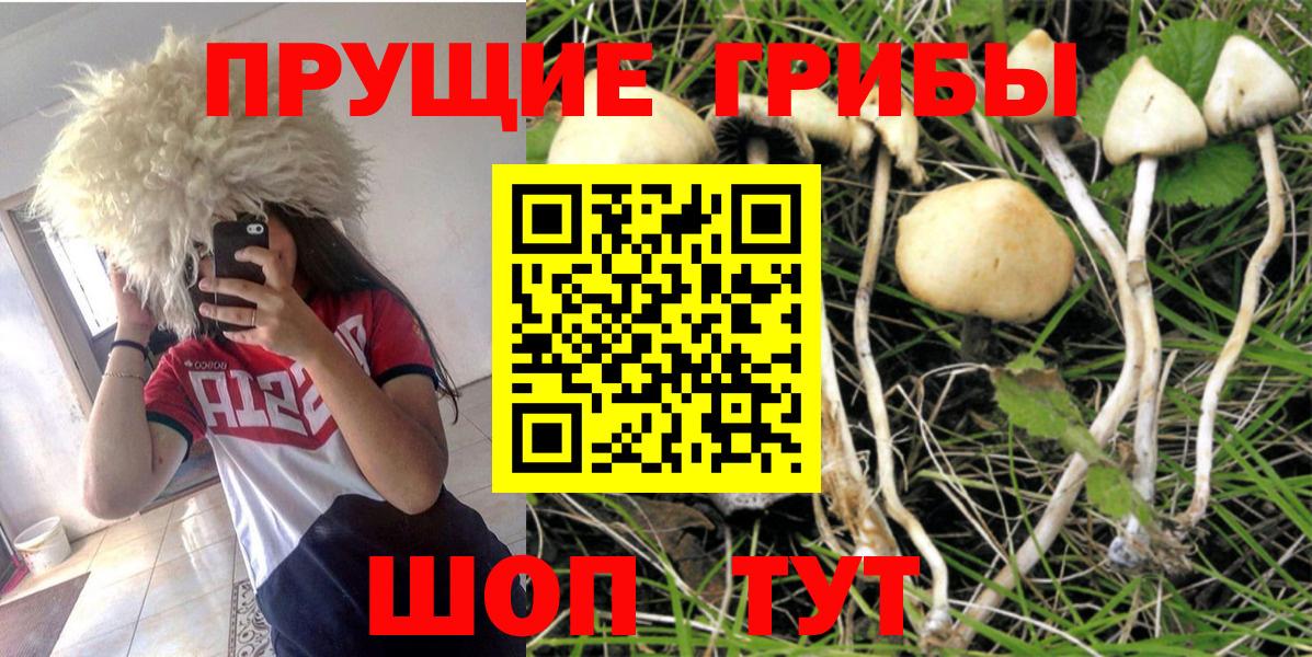 Псилоцибиновые грибы Magic Shrooms Протвино