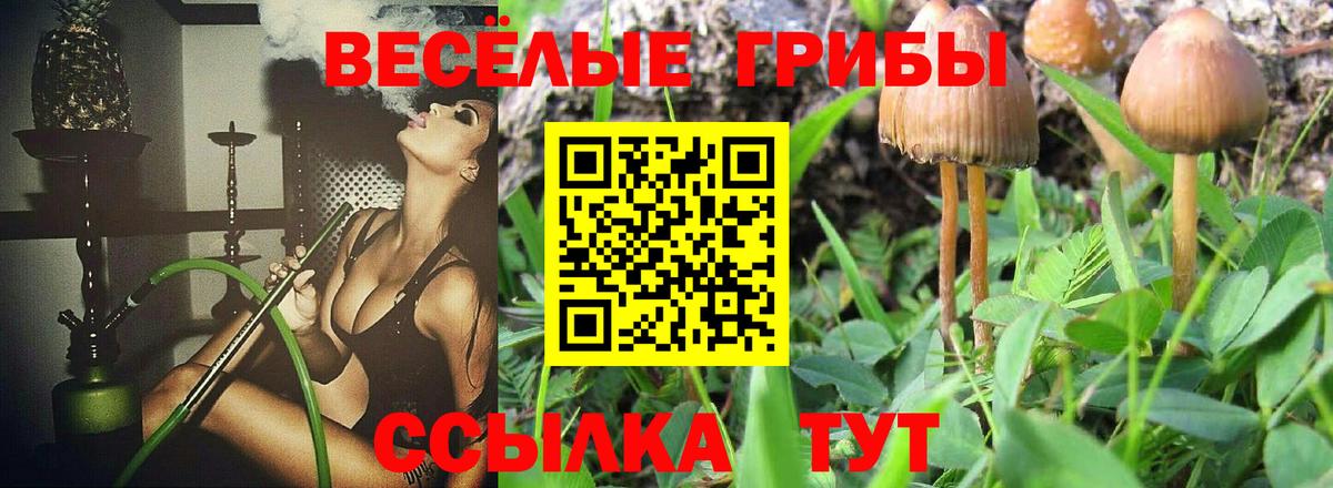 Псилоцибиновые грибы Cubensis  Вход с VPN  Галлюциногенные грибы Psilocybe  Протвино 